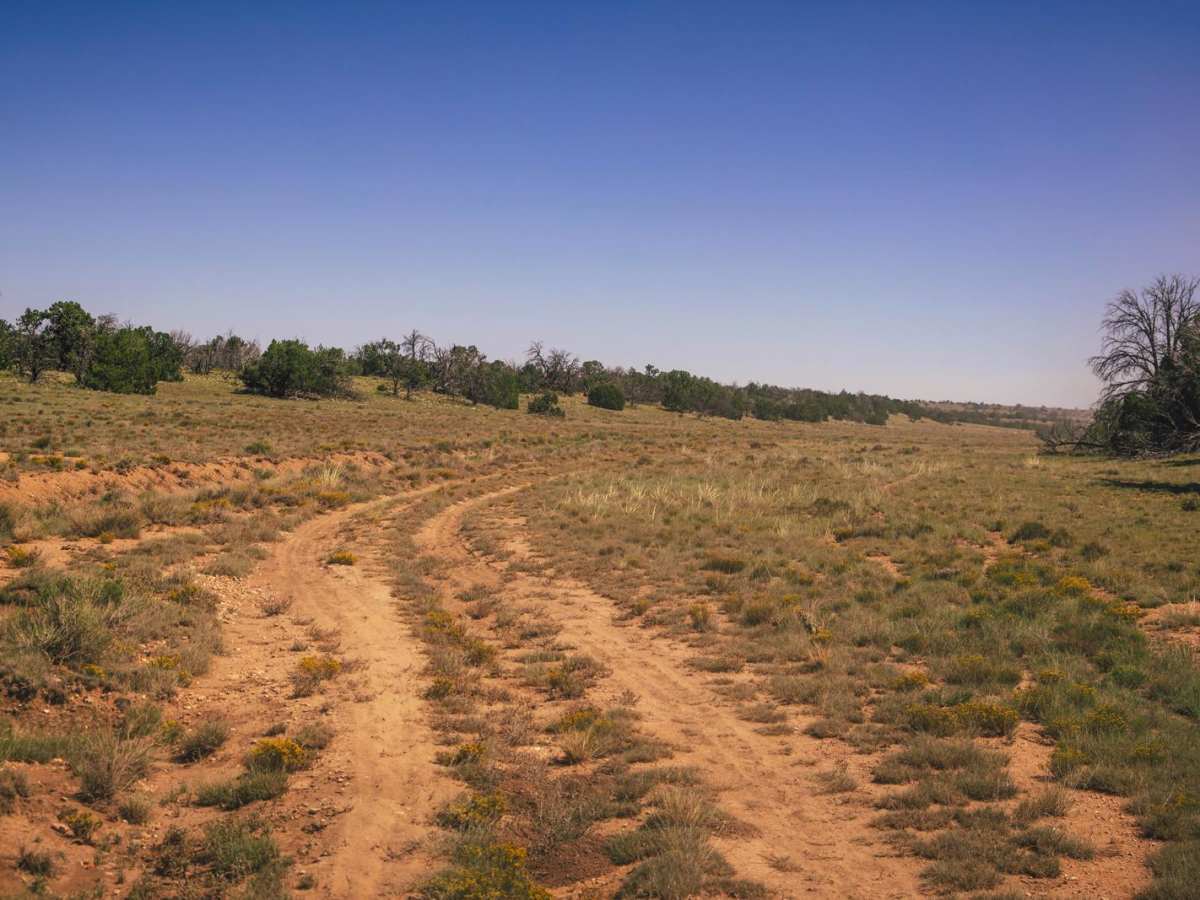 Buckhorn Canyon photo 3