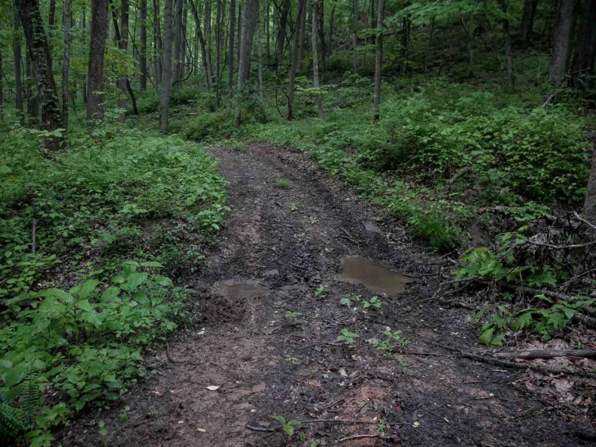 J16 trail photo