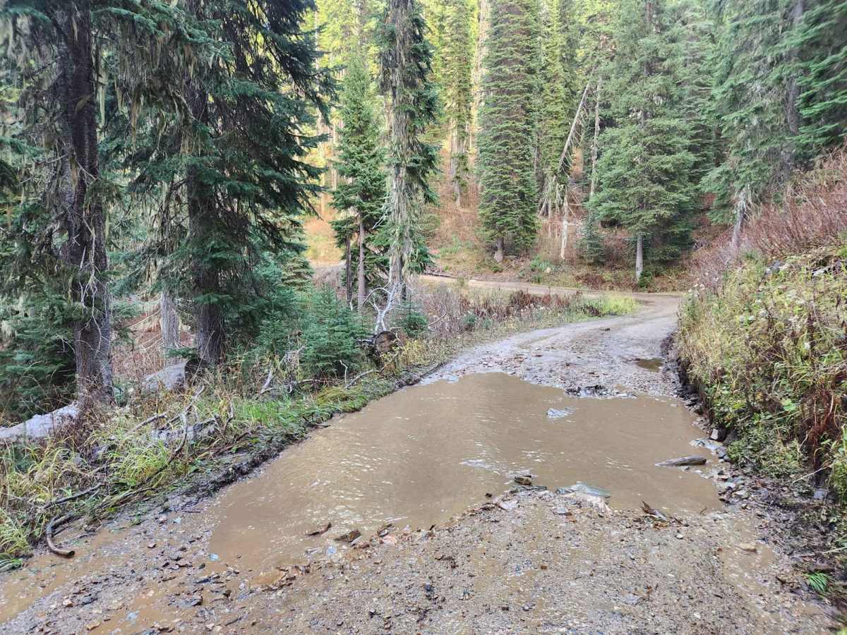 Upper Red Ives Creek photo 4