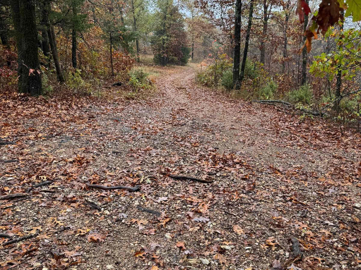 Green 95 trail photo