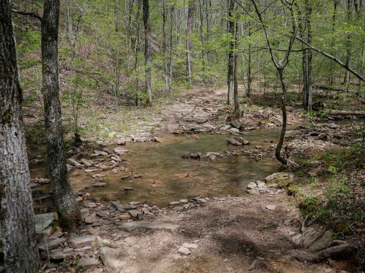 Gap Hollow Spur South 1 photo 3