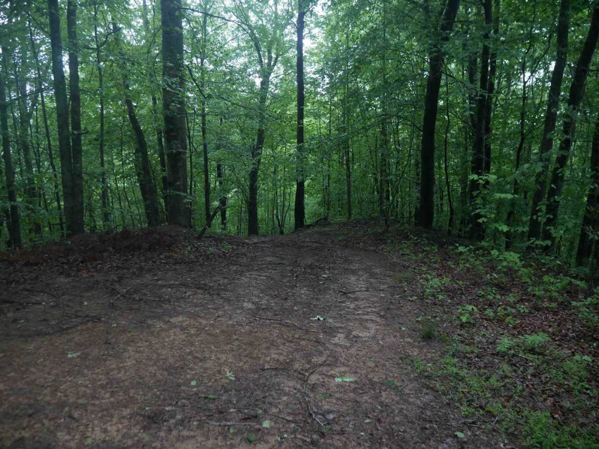 CC97 photo 3