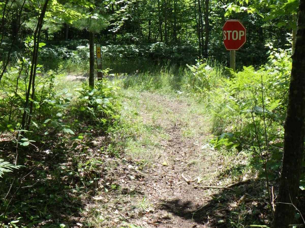 Bay City Lake ATV ORV Trail photo 2