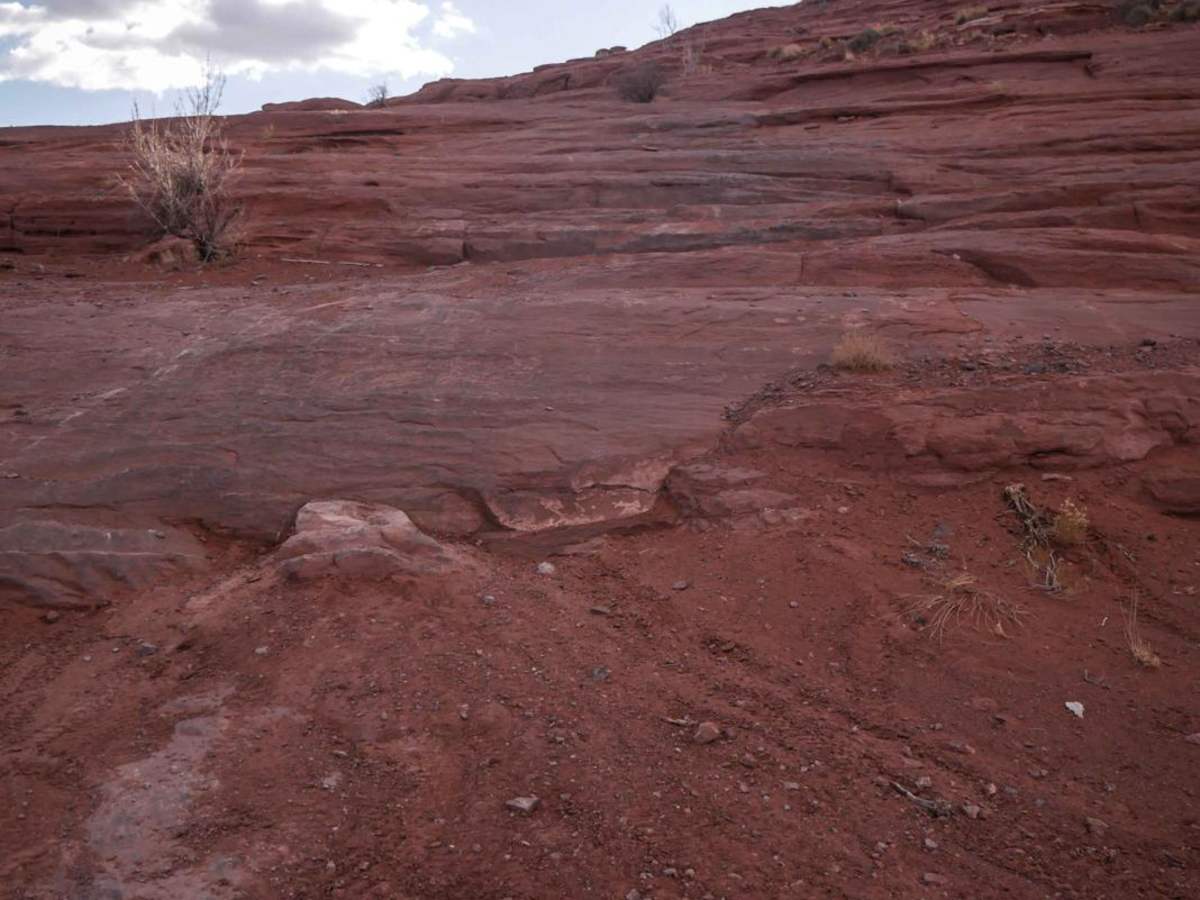 Brian's Trail photo 4