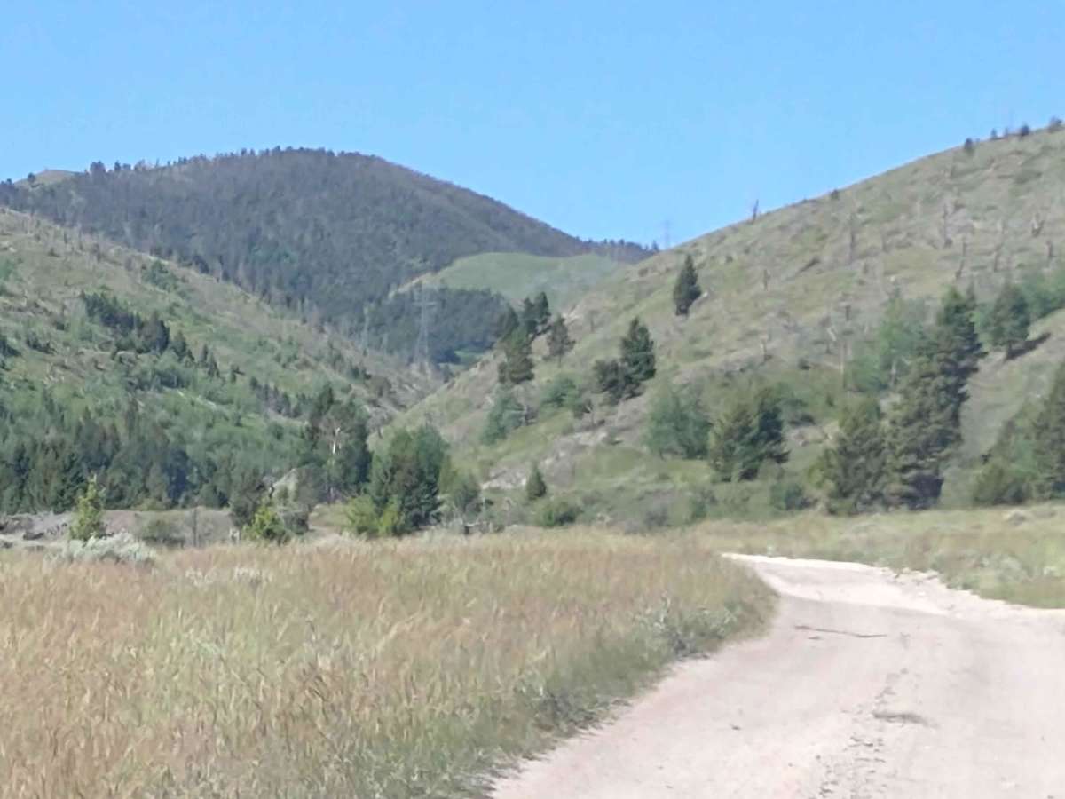 Comet/Mount Thompson Loop photo 2