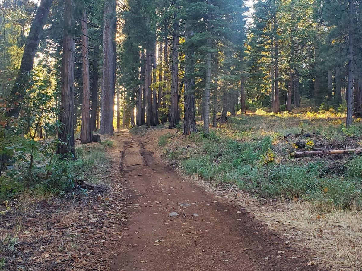 Giant Gap (FS 26-006) trail photo