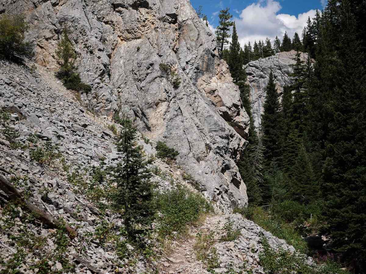 Red Cub trail photo
