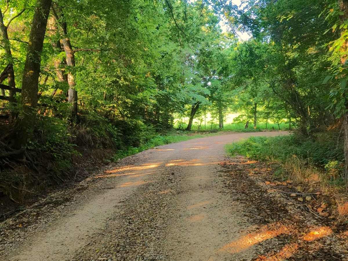 Shelton Ford photo 6