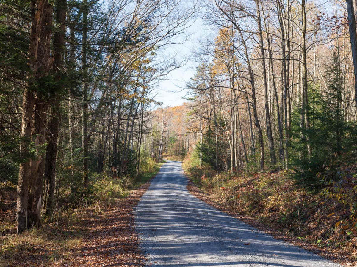 Benner Run Road photo 5