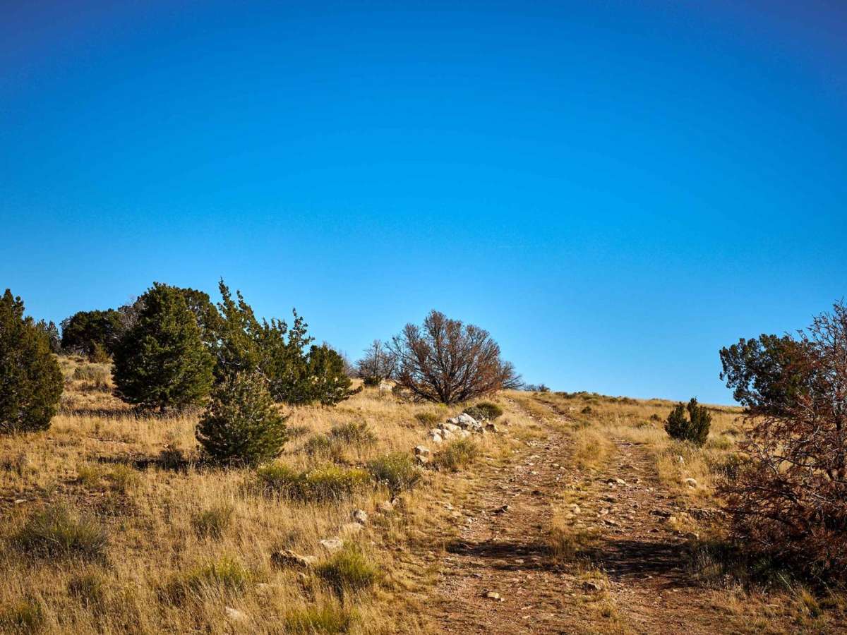 Old 2742 Road photo 2