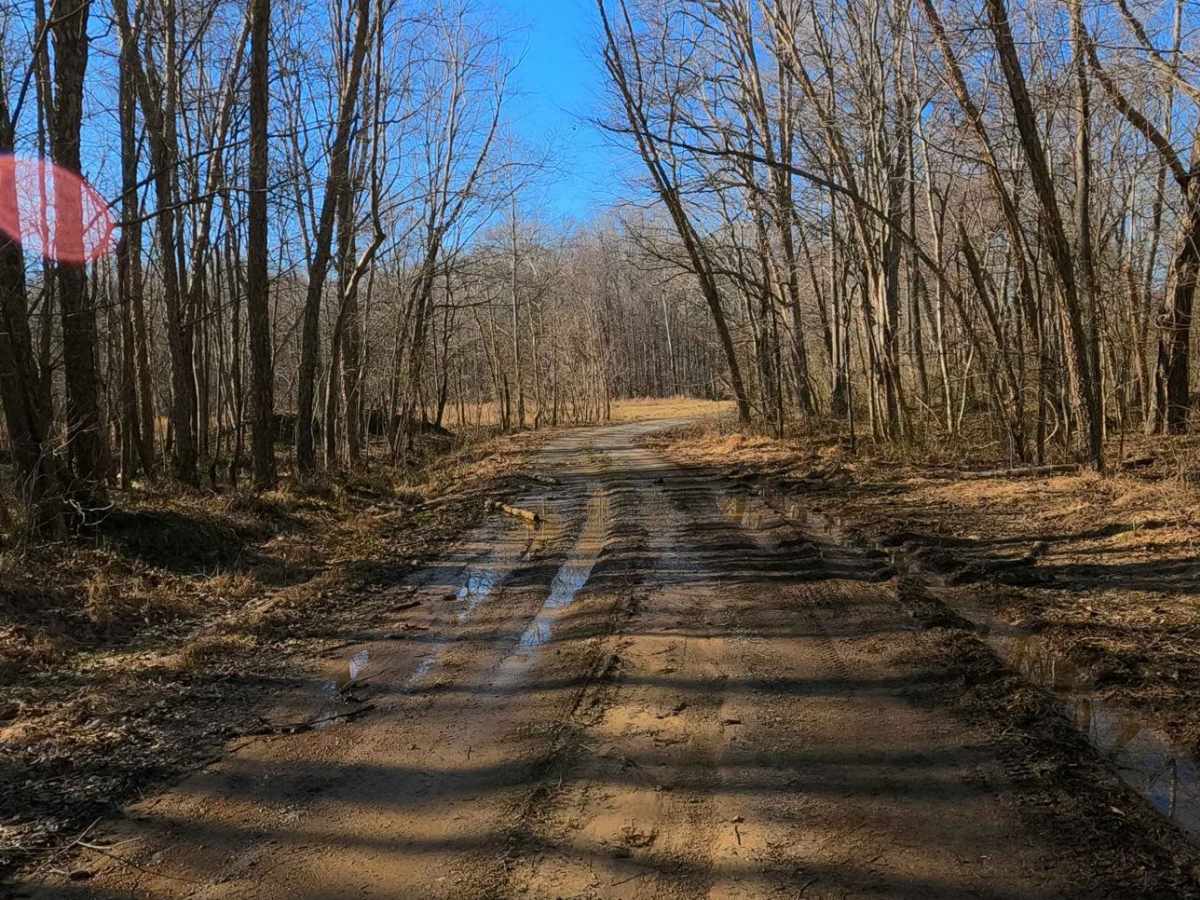 Back Mail Route Road - FS 312 photo 5