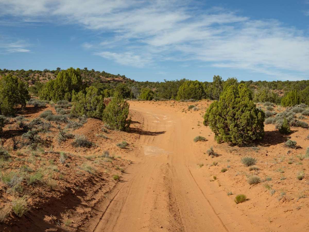Canyonlands Overlook photo 2