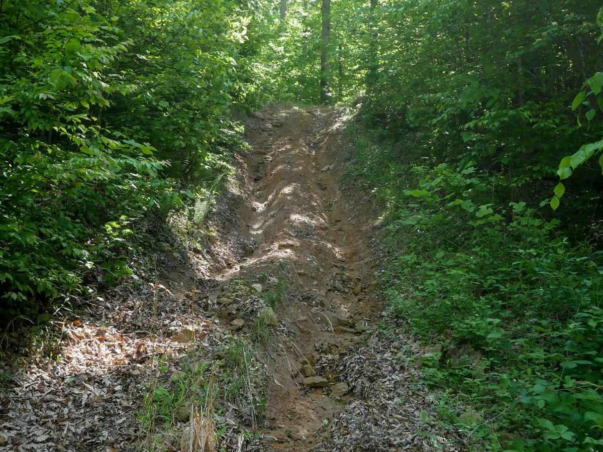 RV69 trail photo