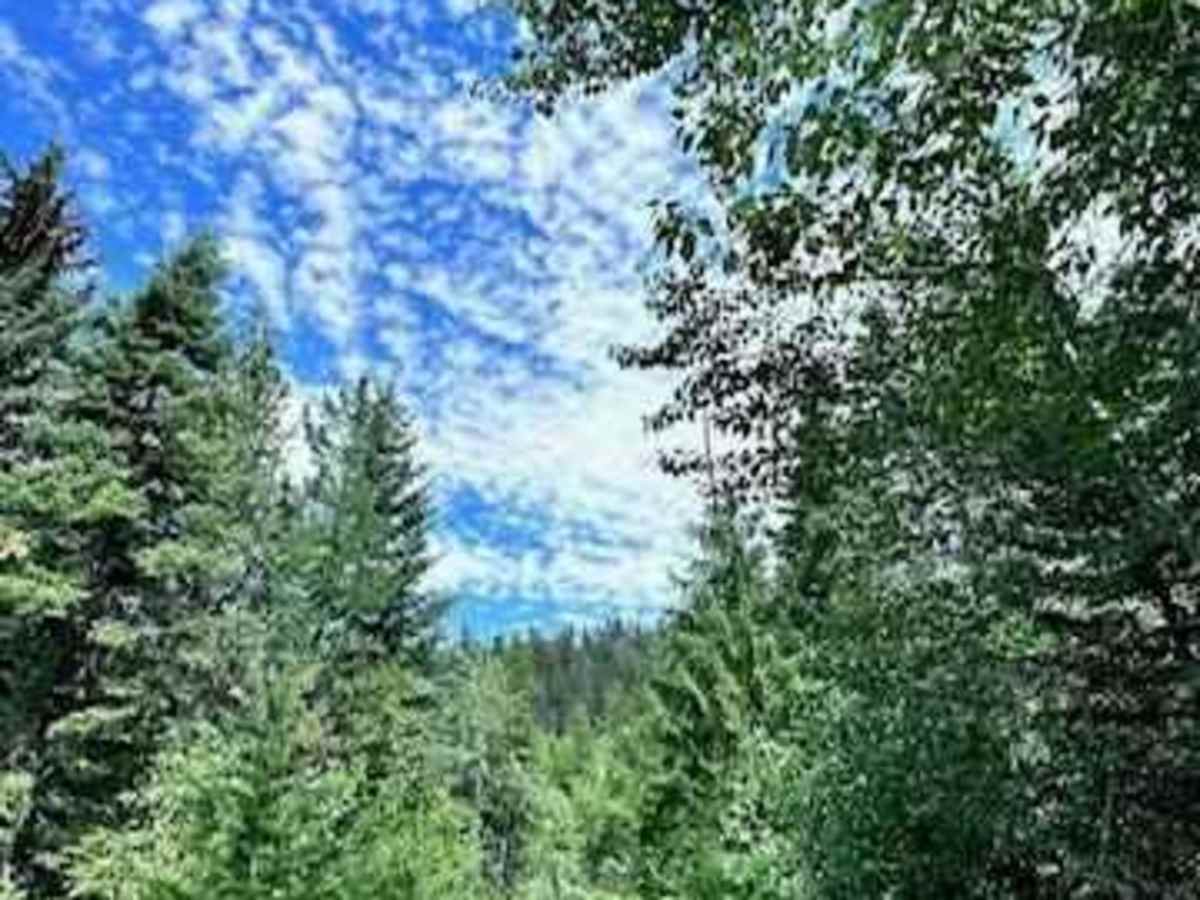 Minesinger to Hidden Lake Pt. 2 photo 4