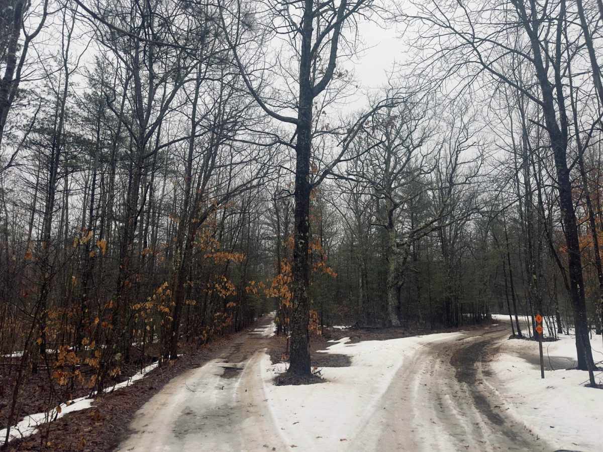 Strombolis trail photo