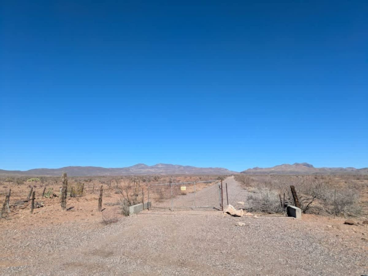 Powerline Road photo 4