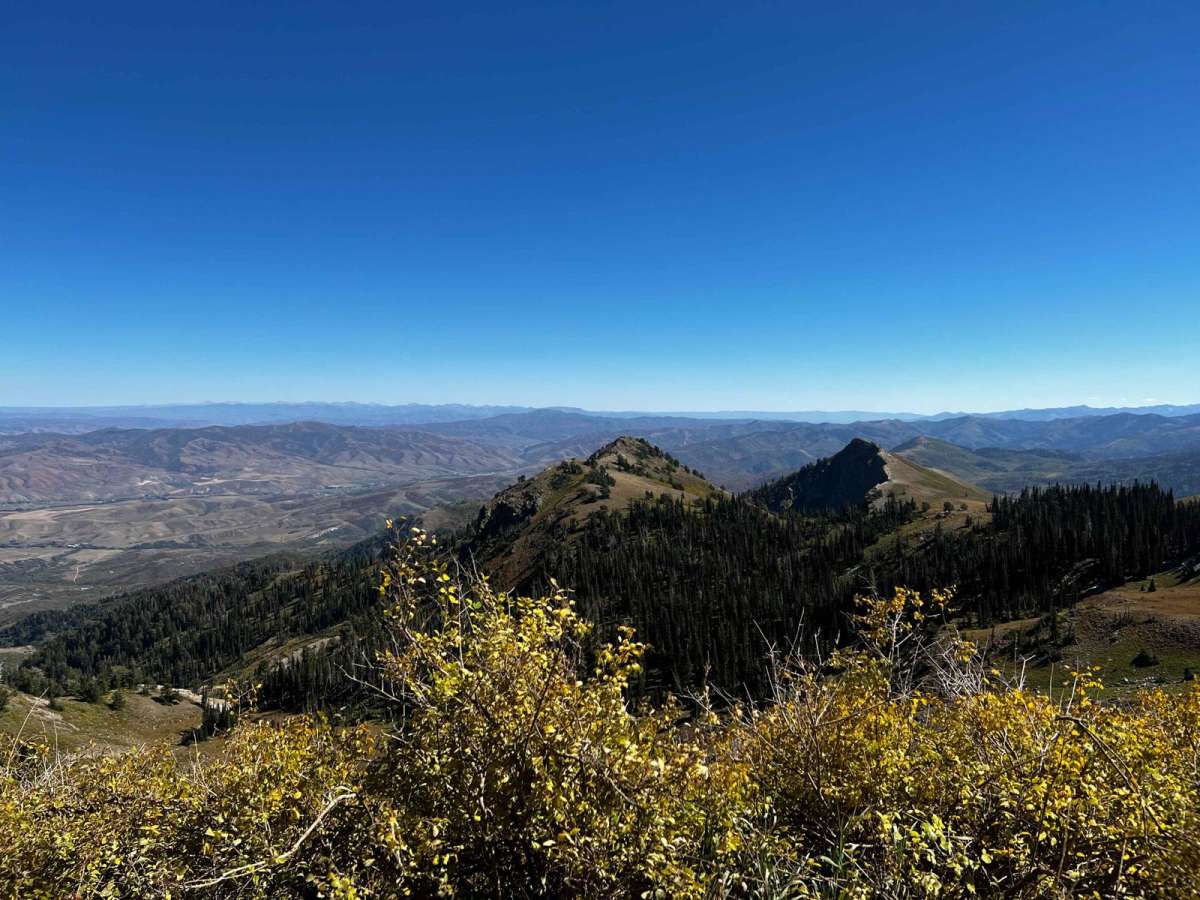 Holmes Creek Road (FR 260) photo 2