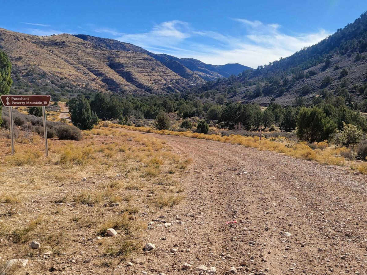Hidden Canyon Road East - BLM 1003 photo 2