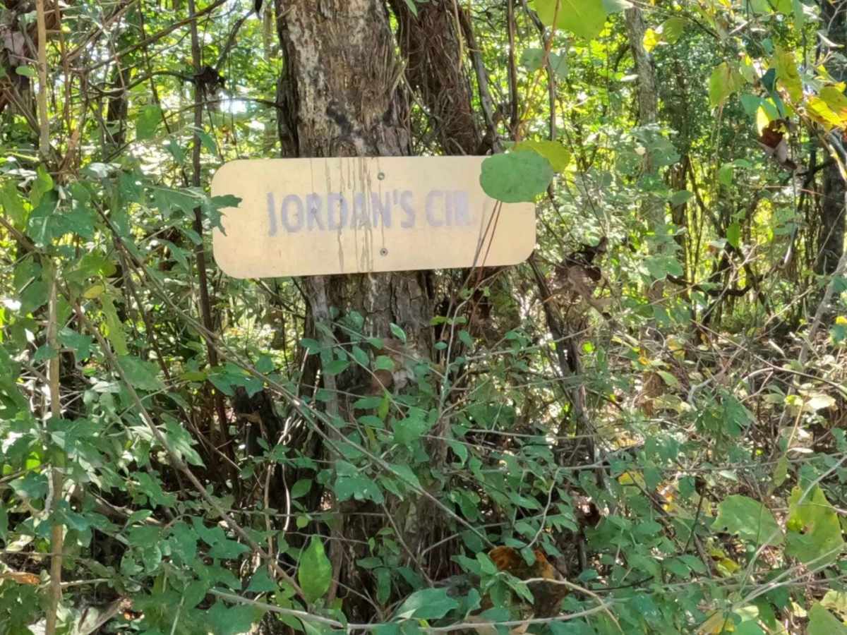 Jordan's Circle trail photo