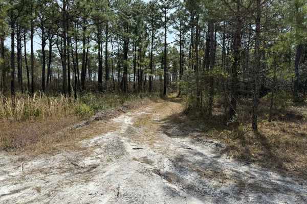 Pettiford Creek Trail 13