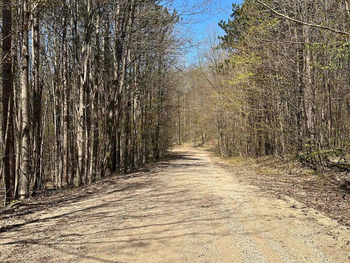 Cadillac Area ORV/OHV Scenic Ride - Part 13 photo 6