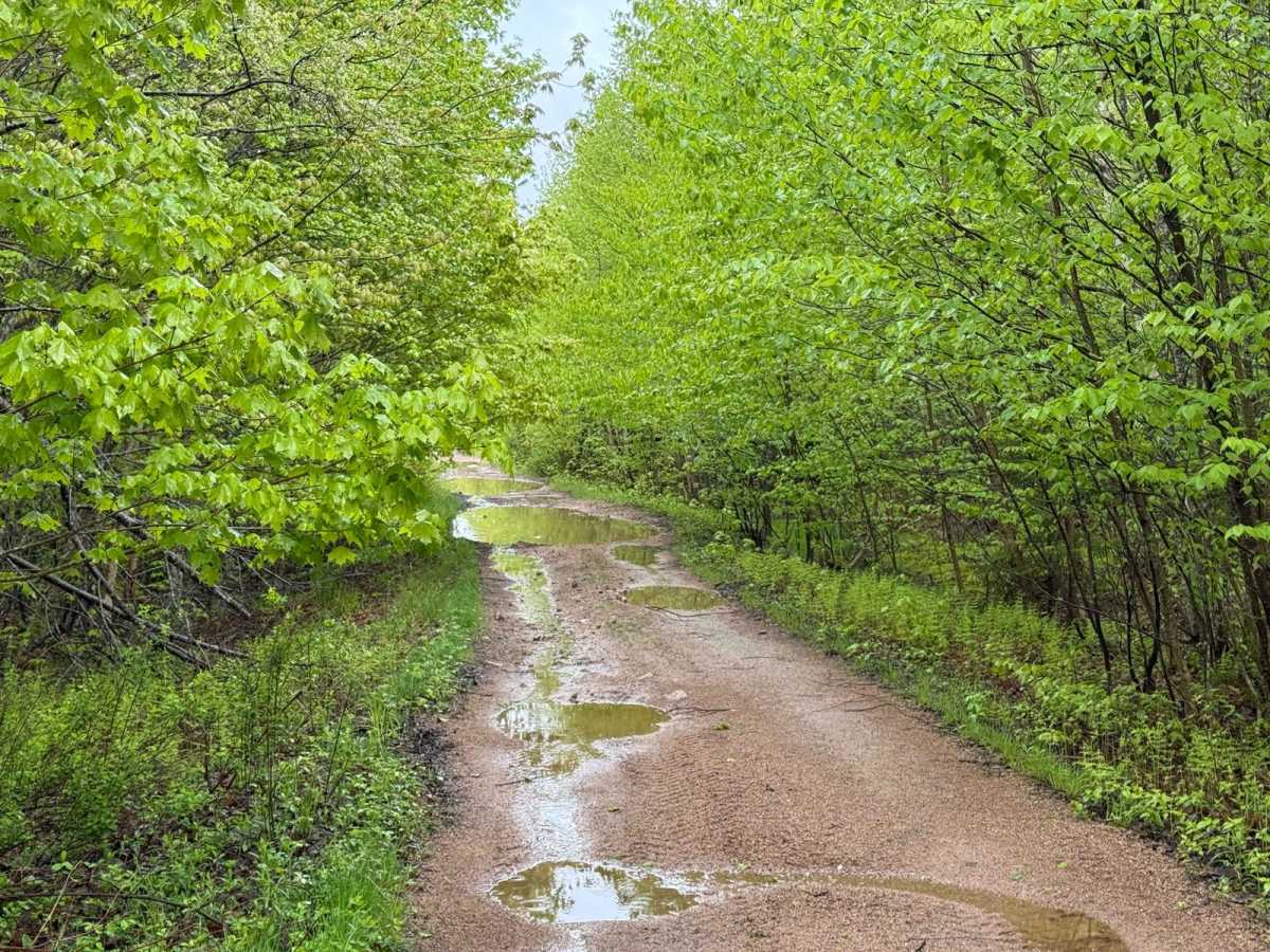 Granite Lane Trail trail photo