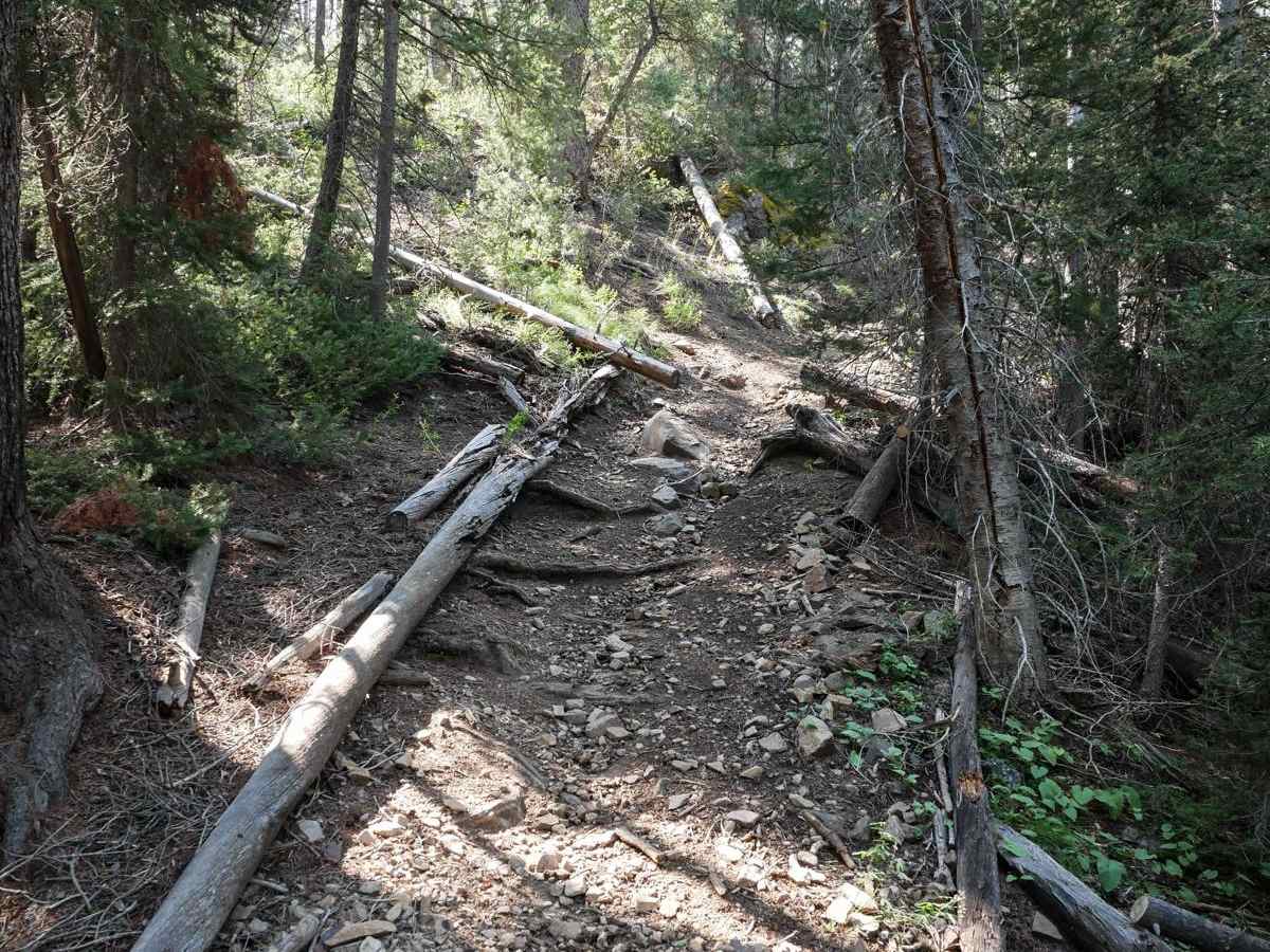 Buster Lake ATV photo 2