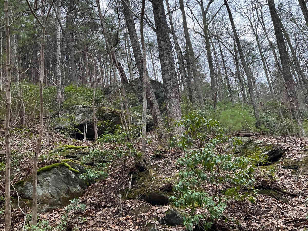 Kimsey MTN (Old 68 HWY) photo 4