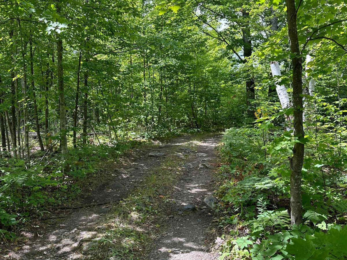 ORV Trail - 36282 photo 2