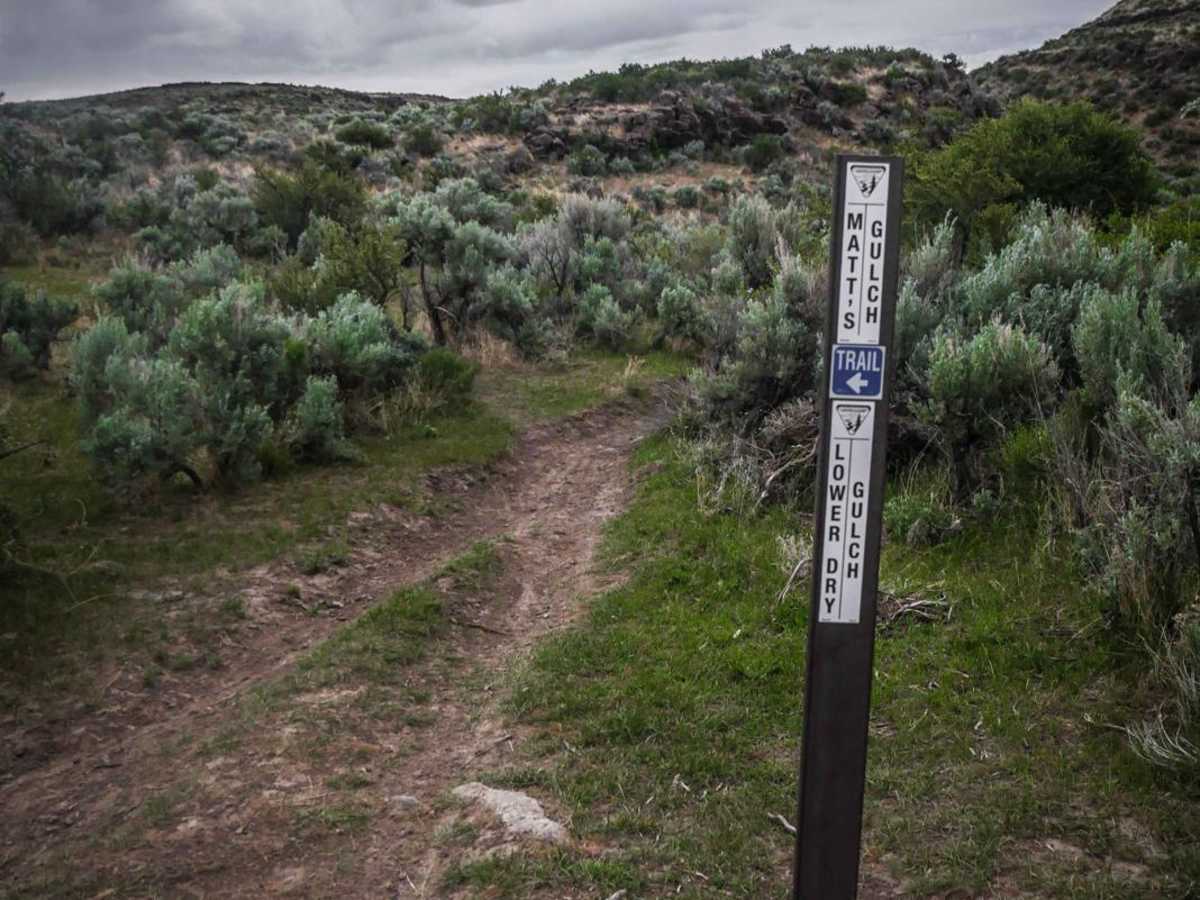 Lower Dry Gulch photo 5