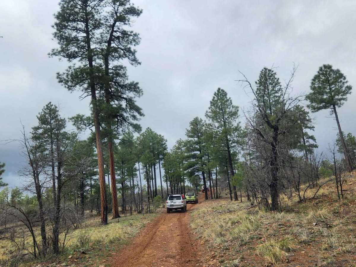 Decon1 trail photo