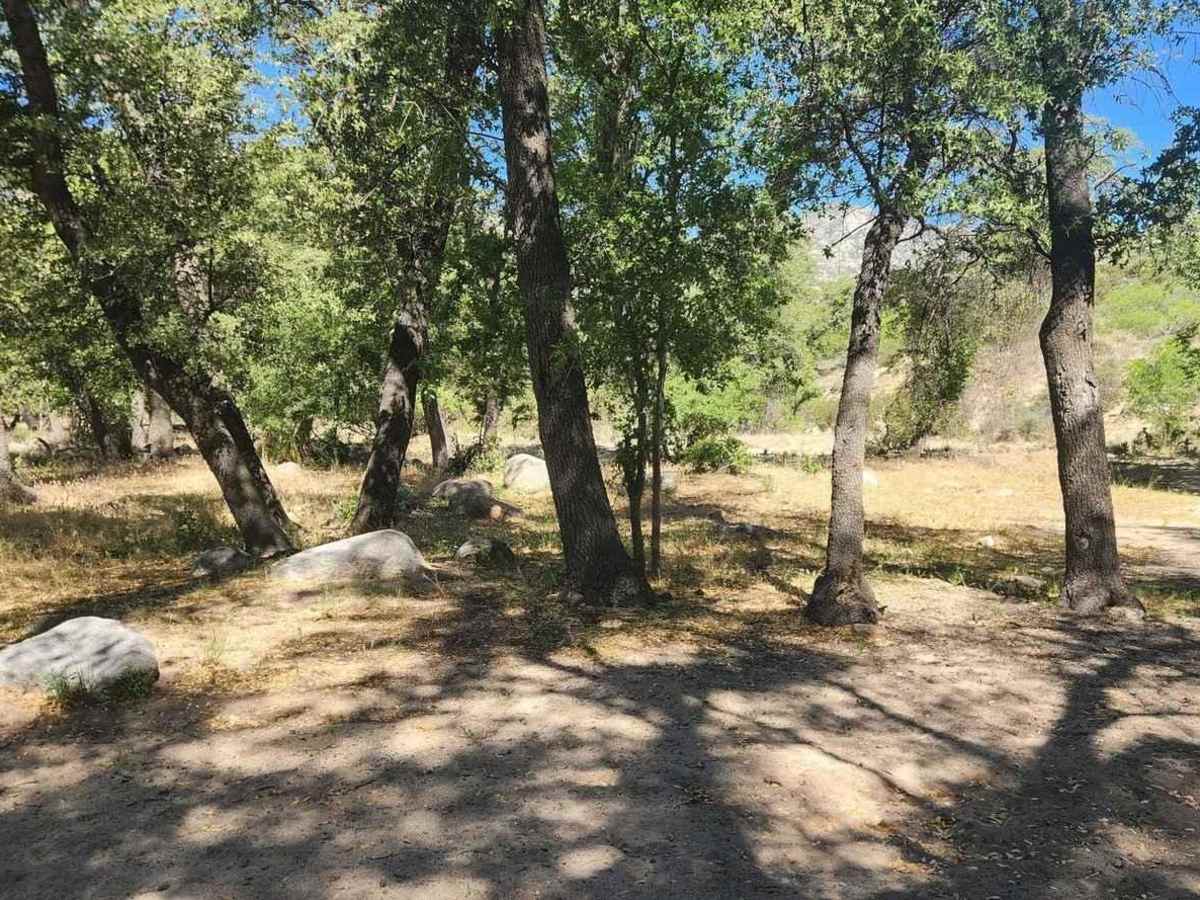 Turkey Creek Springs FR 4408 photo 3