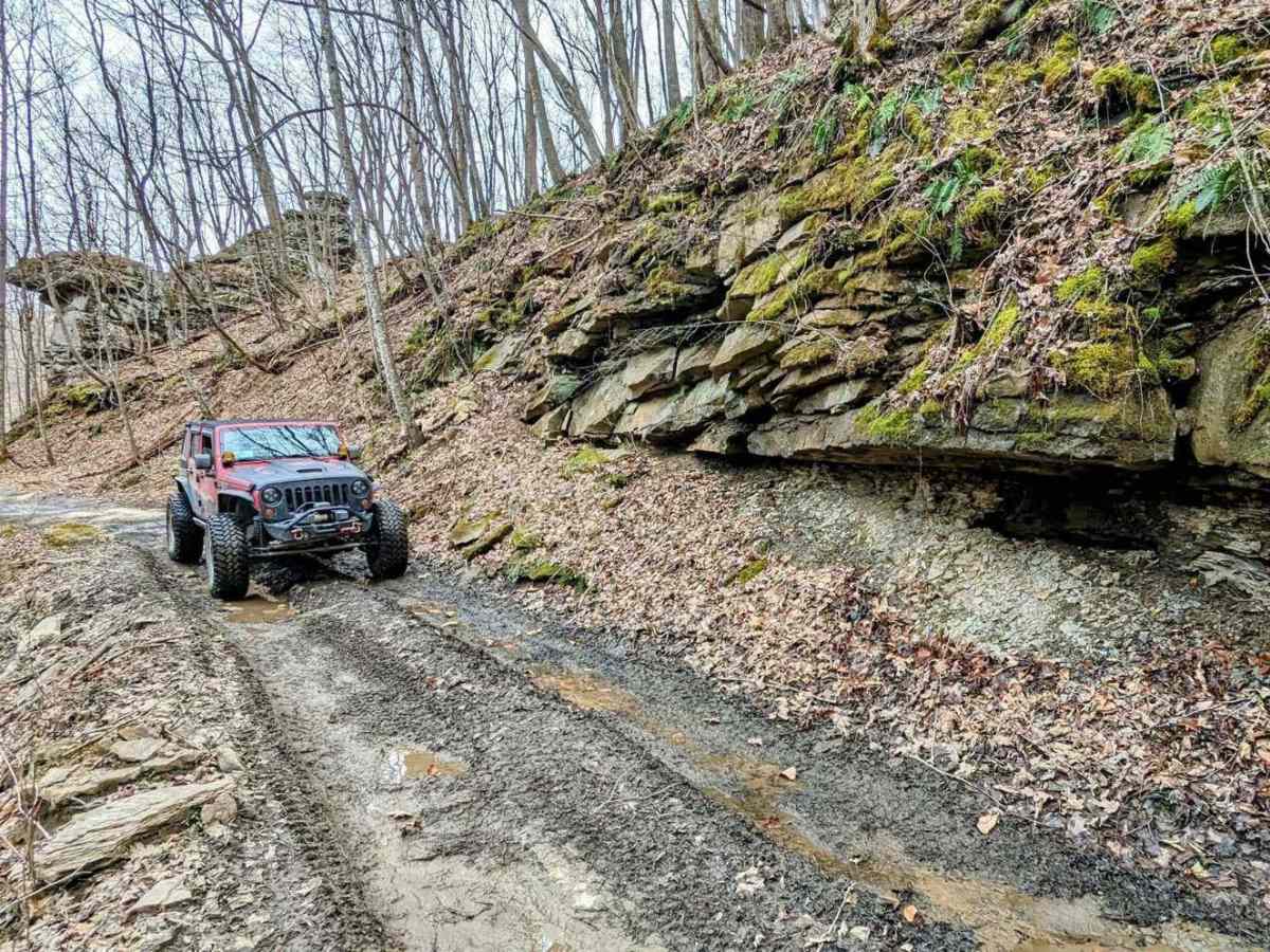 11 trail photo