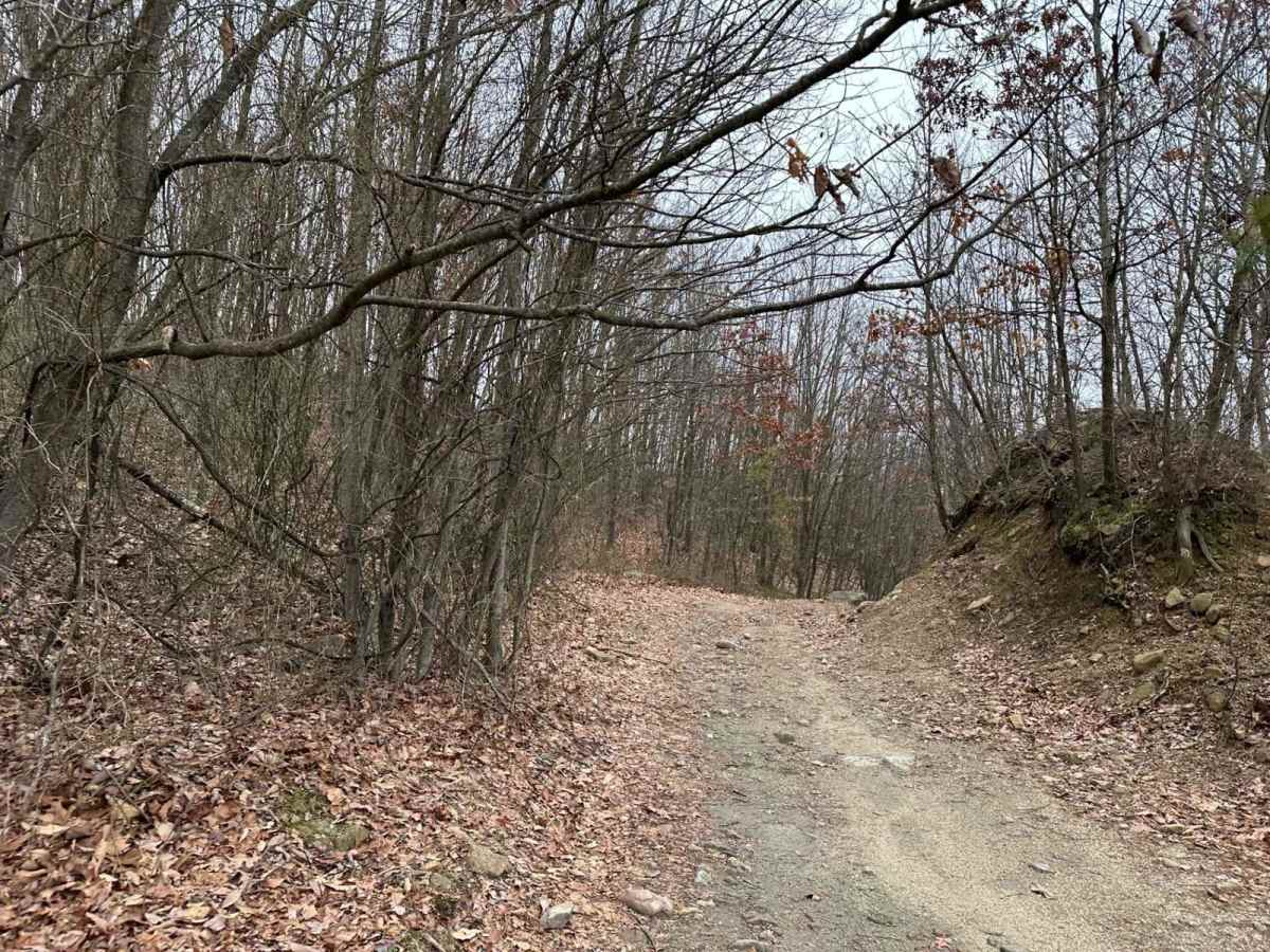 Marion Bridge Trail photo 2