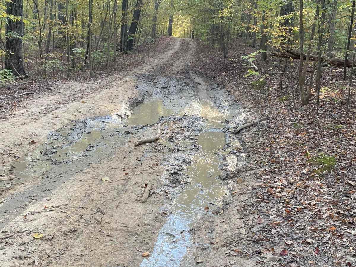 FSR 319 Land Between the Lakes photo 5