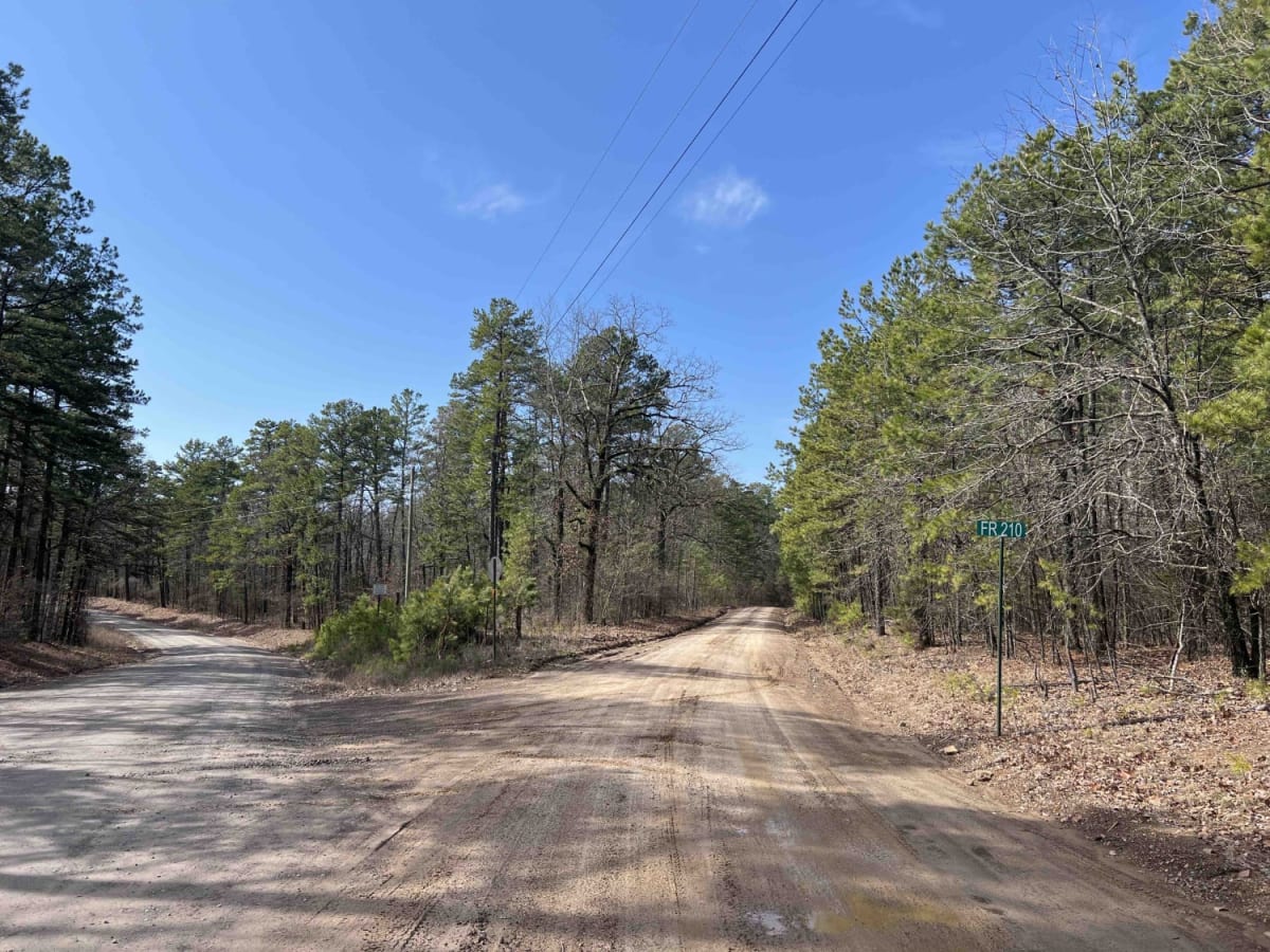 Link Mountain Road 210 photo 2