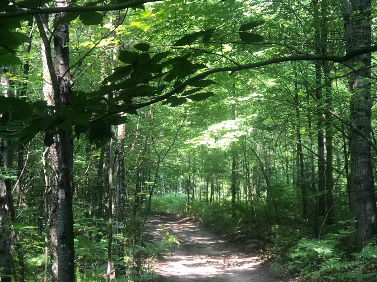 Betsie Valley Spur photo 5