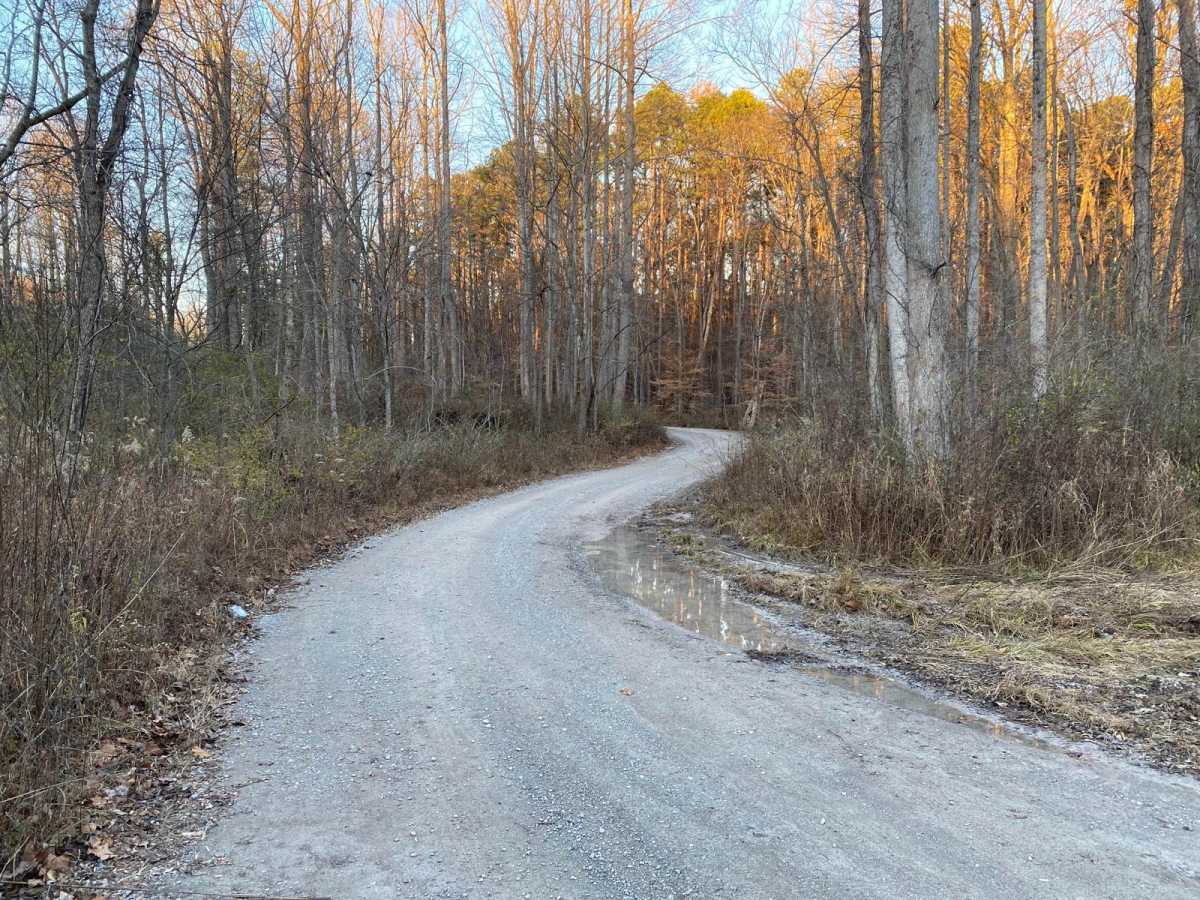 Grabber SFR 264 photo 3
