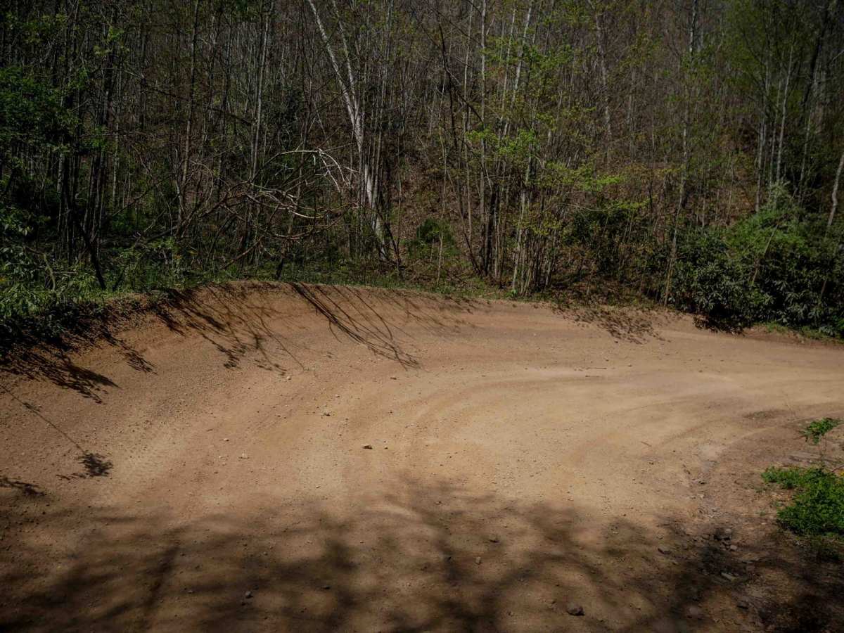 P31 photo 6