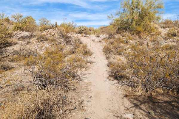 Wash Connector - Single Track