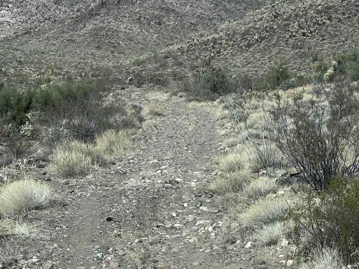 Cholla Pass Trail - H1165 photo 6