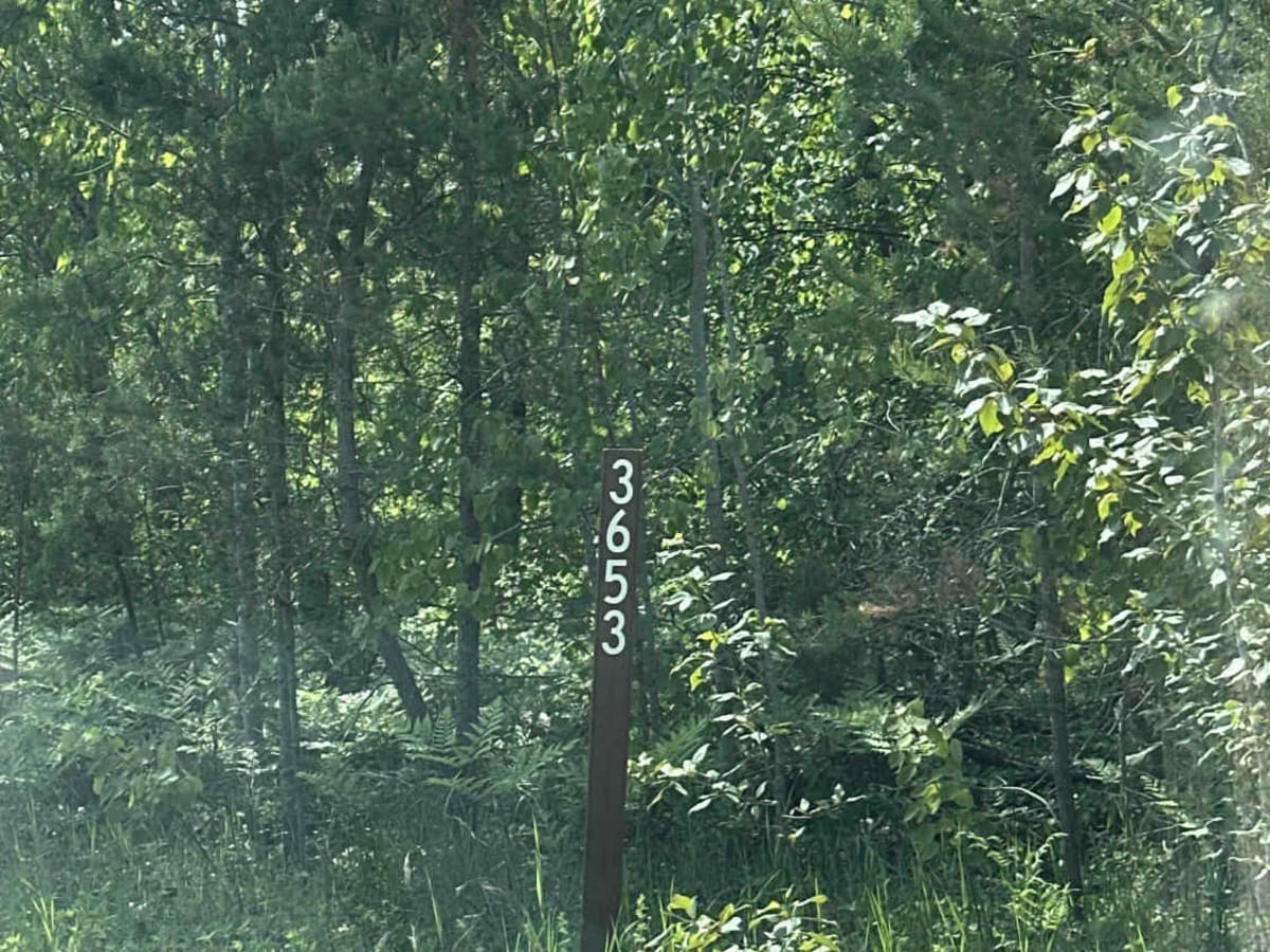 FS 3653 trail photo
