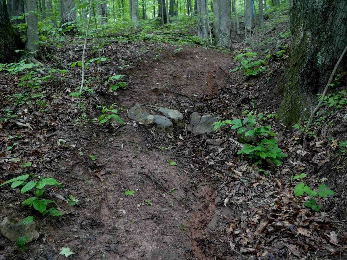 T94 trail photo