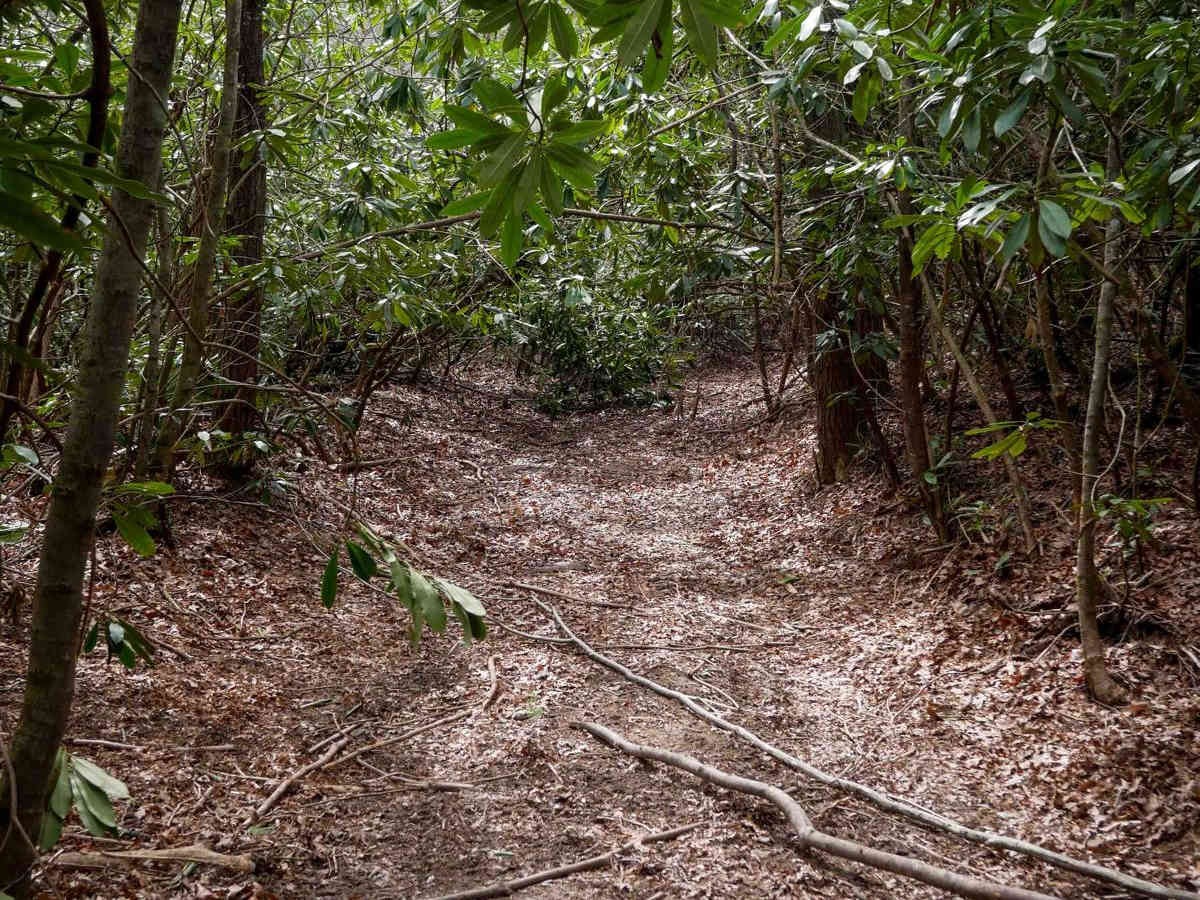 526 trail photo