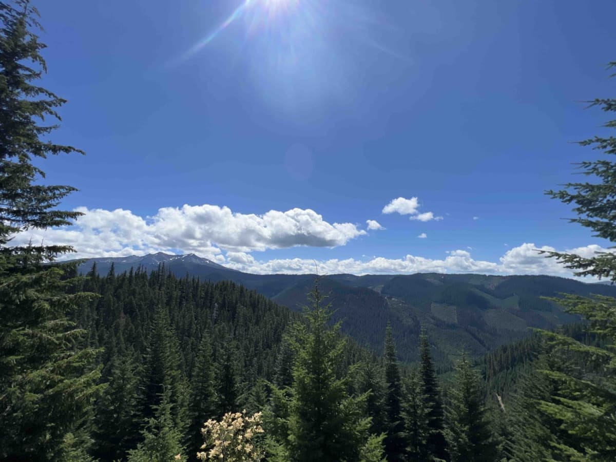 Buck Creek 2120 photo 6
