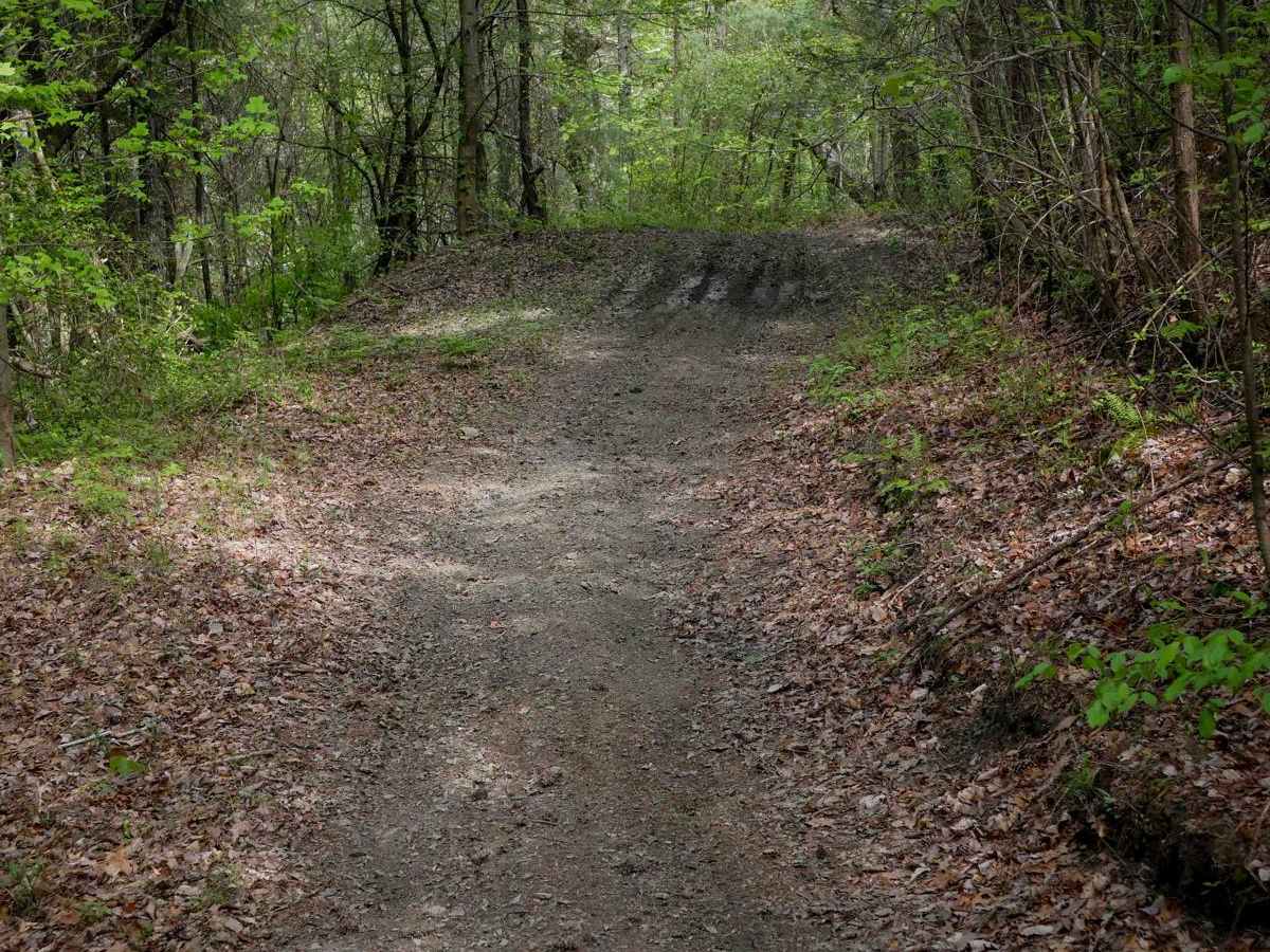 Tibbs ATV photo 6