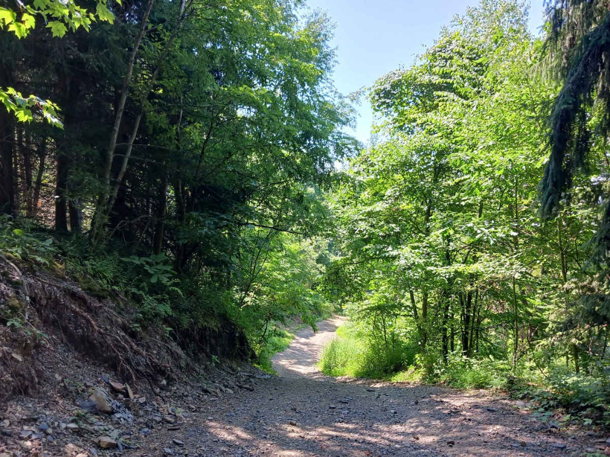 Hawk Lane - Rock Run Recreation Area photo 5
