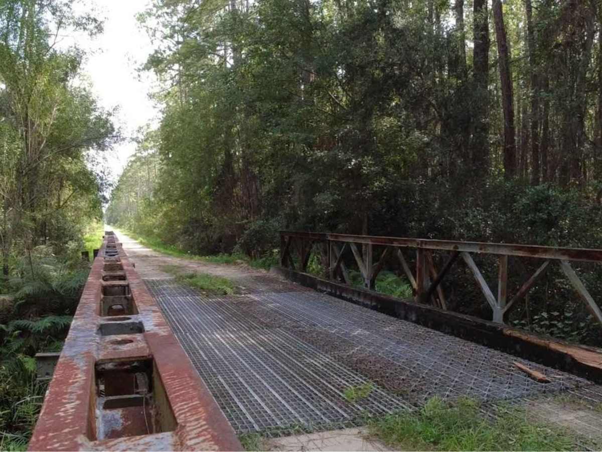 Cary State Forest - Cary Tract photo 4