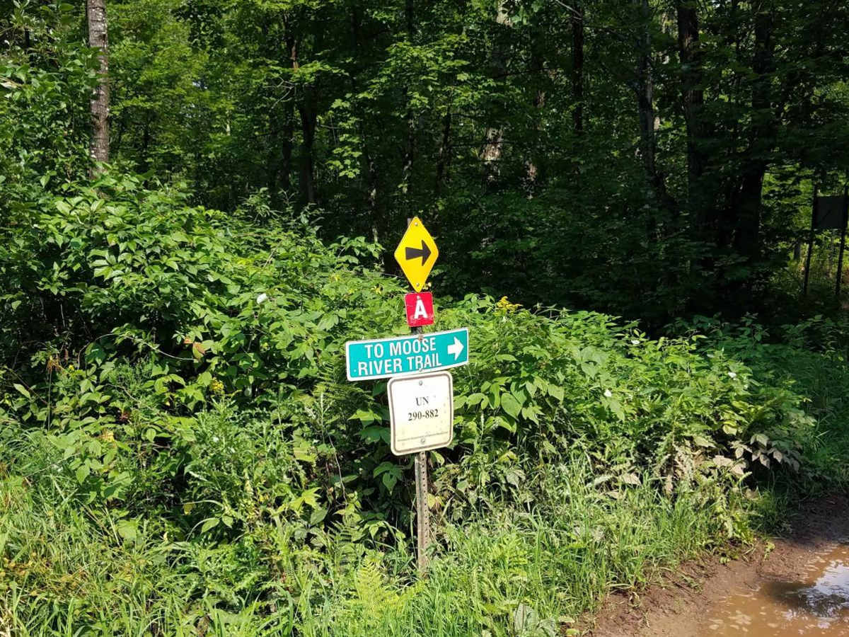North of Outing on the A Trail photo 6