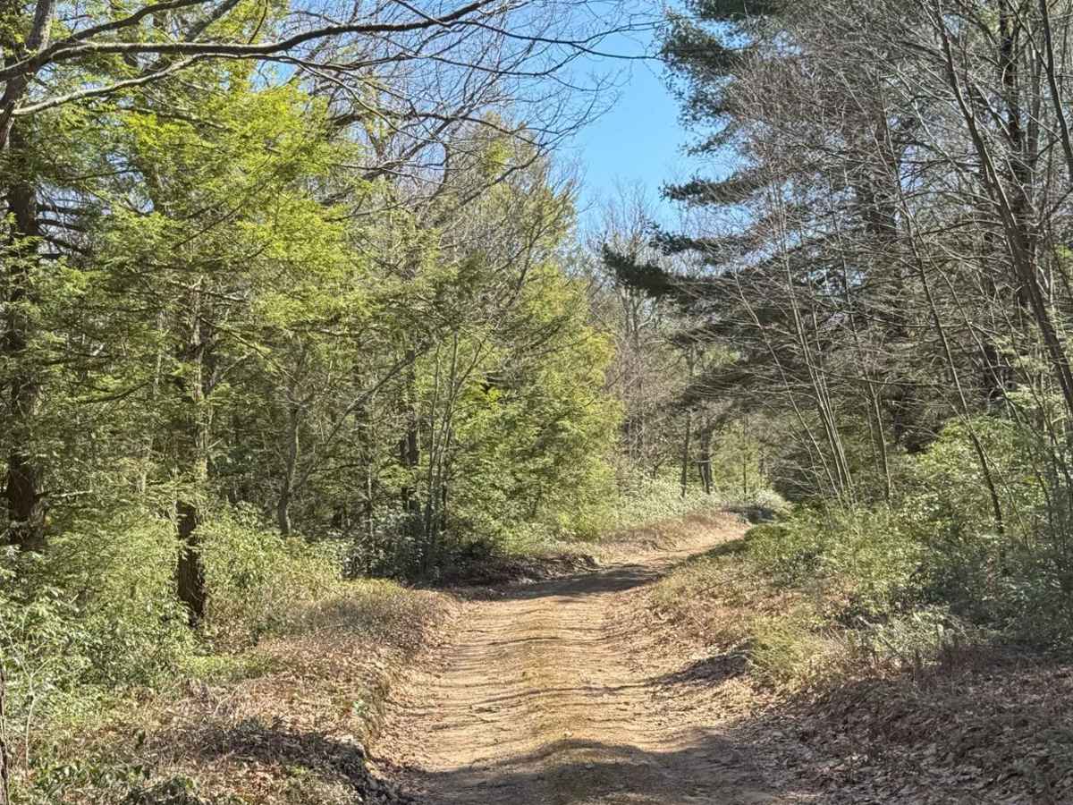 Boggs Ridge Road photo 3